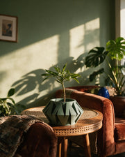 Origami Gem Planter – on a side table at golden hour