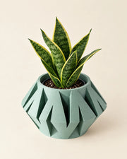 Origami Gem Planter – styled in use