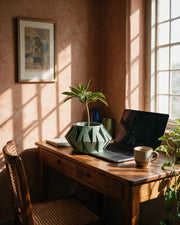 Origami Gem Planter – on a work desk in morning sun