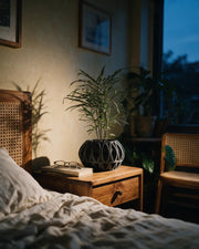 Oval Cage Planter – at night on a bedside table