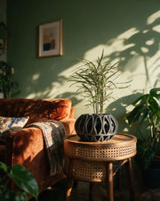 Oval Cage Planter – on a side table at golden hour