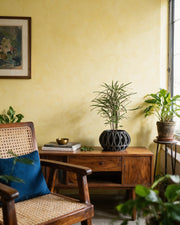 Oval Cage Planter – styled on a console