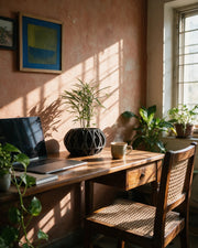 Oval Cage Planter – on a work desk in morning sun