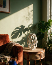 Oval Cage Vase – on a side table at golden hour