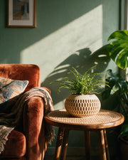 Oval Mesh Planter – on a side table at golden hour