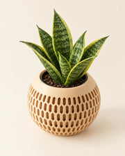 Oval Mesh Planter – styled in use