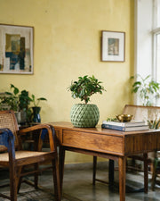 Overlap Scale Planter – styled on a console