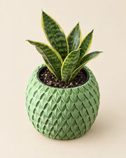Overlap Scale Planter – styled in use