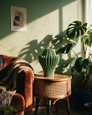 Petal Blade Vase – on a side table at golden hour