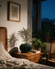 Petal Fin Planter – at night on a bedside table