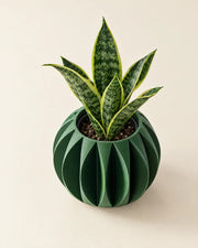 Petal Fin Planter – styled in use