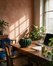 Petal Fin Planter – on a work desk in morning sun