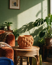 Petal Scale Planter – on a side table at golden hour