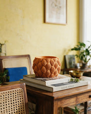 Petal Scale Planter – styled on a console