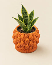 Petal Scale Planter – styled in use