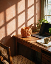 Petal Scale Planter – on a work desk in morning sun
