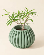 Pillar Rib Planter – three-quarter studio view
