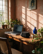 Pleat Plant Stand – on a work desk in morning sun