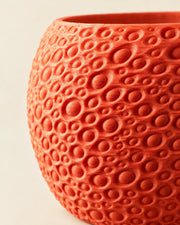 Pore Bloom Planter – close-up of the printed texture