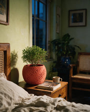Pore Bloom Planter – at night on a bedside table