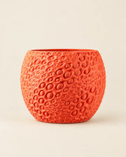 Pore Bloom Planter – front view
