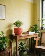 Pore Bloom Planter – styled on a console