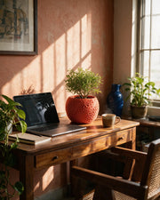 Pore Bloom Planter – on a work desk in morning sun