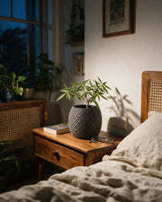 Pore Cylinder Planter – at night on a bedside table