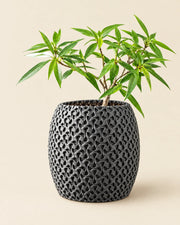 Pore Cylinder Planter – three-quarter studio view