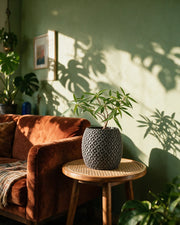 Pore Cylinder Planter – on a side table at golden hour