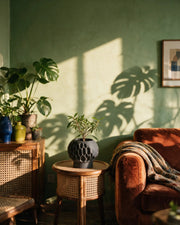 Pore Globe Planter – on a side table at golden hour