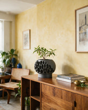 Pore Globe Planter – styled on a console