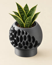 Pore Globe Planter – styled in use