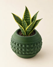 Pyramid Globe Planter – styled in use