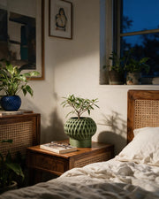 Quilt Ring Planter – at night on a bedside table