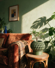 Quilt Ring Planter – on a side table at golden hour