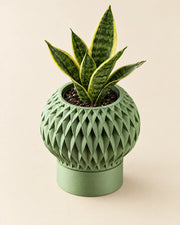 Quilt Ring Planter – styled in use