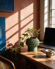 Quilt Ring Planter – on a work desk in morning sun