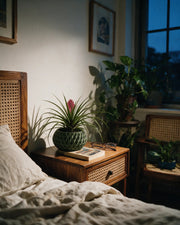 Quilted Basin Planter – at night on a bedside table