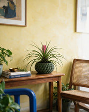 Quilted Basin Planter – styled on a console
