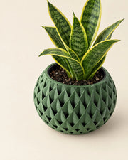 Quilted Basin Planter – styled in use