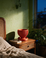 Radial Bowl Planter – at night on a bedside table