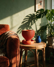 Radial Bowl Planter – on a side table at golden hour