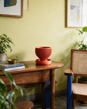 Radial Bowl Planter – styled on a console