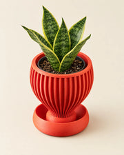 Radial Bowl Planter – styled in use