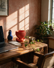 Radial Bowl Planter – on a work desk in morning sun