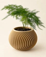 Radial Fin Planter – three-quarter studio view
