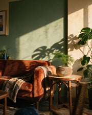 Radial Fin Planter – on a side table at golden hour