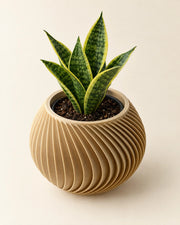 Radial Fin Planter – styled in use