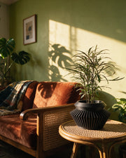 Radial Flare Planter – on a side table at golden hour